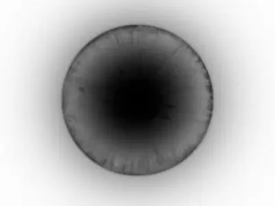 wolf lowpoly eye with circle in middle Low-poly 3D model