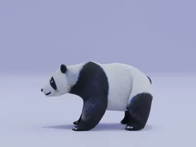 Panda Animal Low High Poly Low-poly 3D model