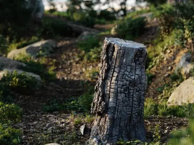  Tall Burned Cut Deciduous Stump Model 