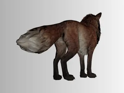 Stylized Fox 3D Model  Game Ready Multiple Colors  Low-poly 3D model
