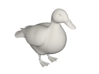 Duck animals 3D model