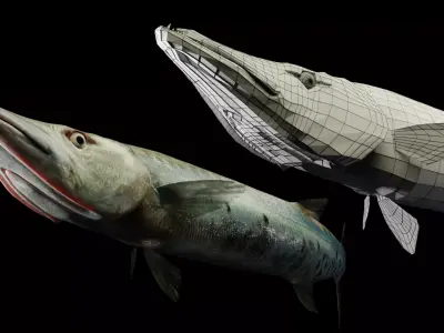 Animated Barracuda Low-poly 3D model
