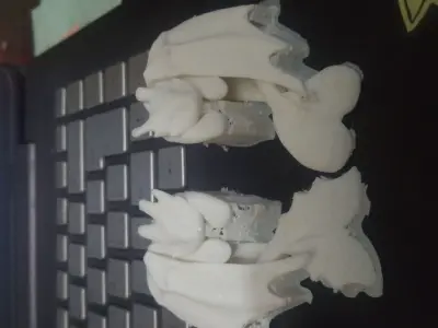 Light Fury how to train your dragon 3D print model