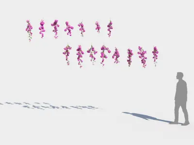  Climbing Bougainvillea Collection 2 (+GrowFX) 