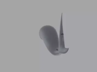Shark Tail Low-poly 3D model