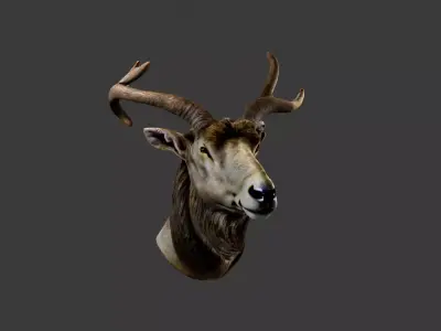 Deer Animal Head Low-poly 3D model order
