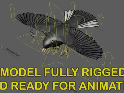 Dark-eyed Junco (Animated) 3D model