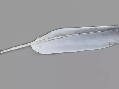 -Quill- 3D model