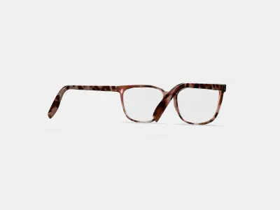 Esme Eyeglasses in Sesame Tortoise Low-poly 3D model