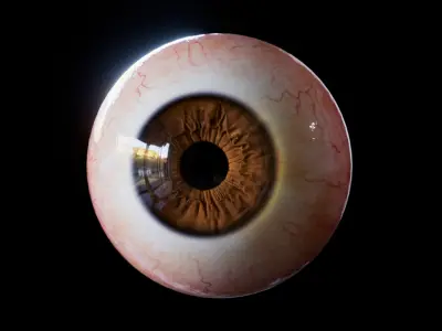 Realistic Human Eye with customizable colors 3D model