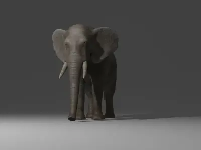 Elephant Rigged Low-poly 3D model purchase