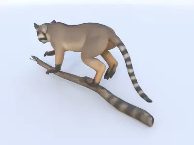 Banded Linsang 3D model