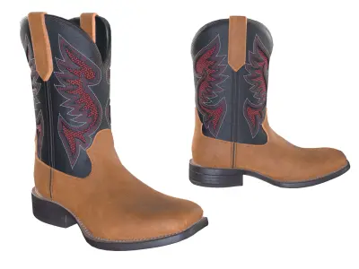 Classic Brown Black Western Cowboy Boots 3D model