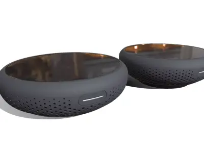 Google Us Part 2 Finally 3D model