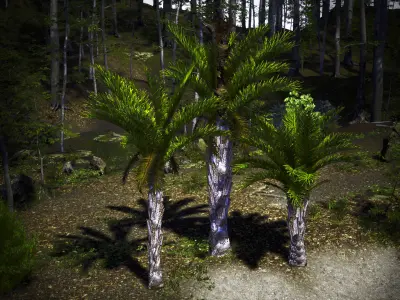 Vulnerable Plant - 6 Raphia australis Conifer Fruit Tree Low-poly 3D model