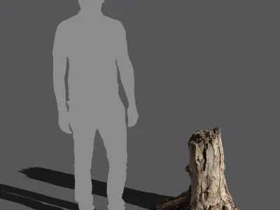  Medium Broken Bare Decaying Burly Stump Model 