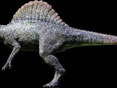 Spinosaurus low poly stegosaurus dinosaur Free low-poly 3D model