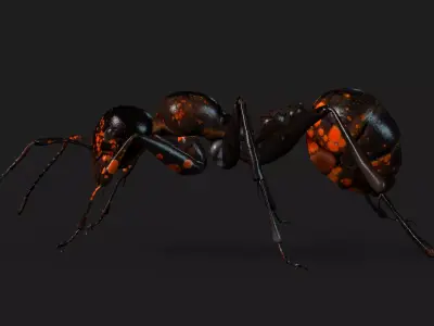 Ant A2 Free 3D model