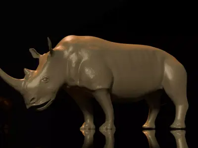 African White Rhino 3D model  3D model
