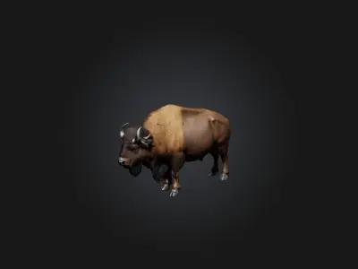 Realistic Bison Model Low-poly 3D model