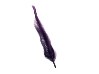 Feather 3D model