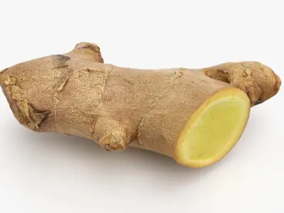 Ginger Slices Collection 3D model
