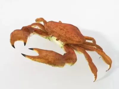 Crab crustaceans Low-poly 3D model