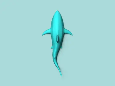 Great White Shark - Wall Decor - Decoration 3D print model