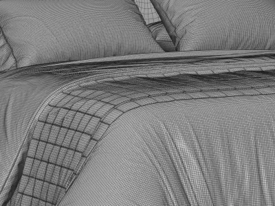 Meridiani Stone Bed 3D model