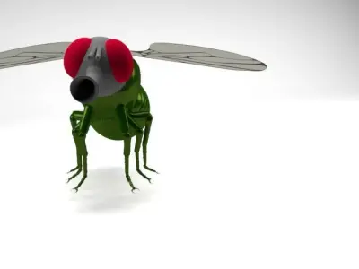 Fly - Insect - Mosca 3D model