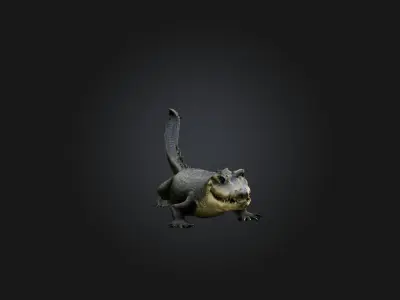 Realistic Alligator Model Low-poly 3D model