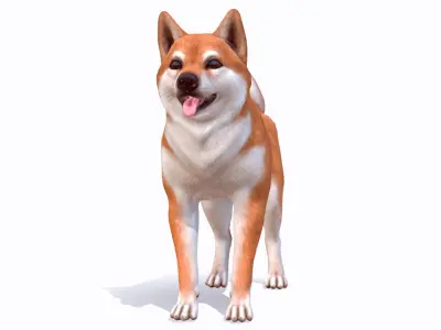 Dog - Akita Inu 3D model