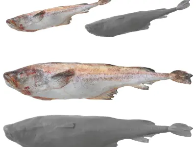Seafood Shops Pack 02 3D model