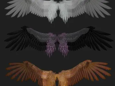 Fantasy Wing Rigged 3D model