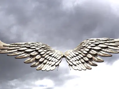 Serafim Wings 7 3D model