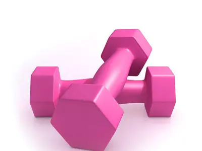 Fitness weight 3D model