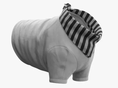  Clothing for Dogs White Black 