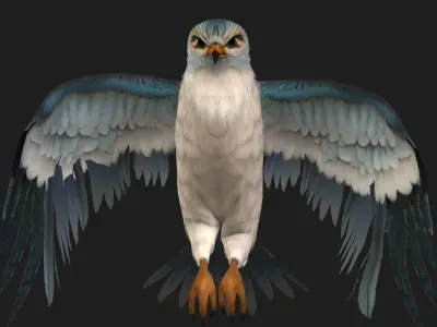Falcon-A2 3D model