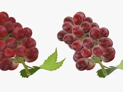 Ripe Red Grape Collection 3D model