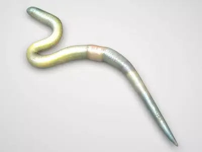 Green Worm 3D model
