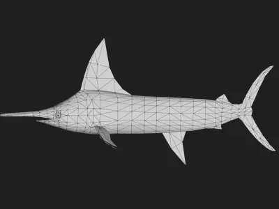 Marlin Low-poly 3D model buy