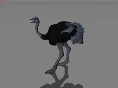 Ostrich Animal Low-poly 3D model