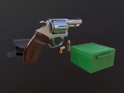 Rook Compact Revolver Stainless with Accessories Low-poly 3D model