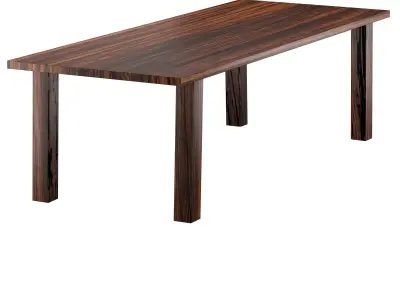 SPO African Walnut Table 3D model