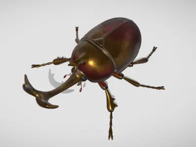 beetle 3D model get