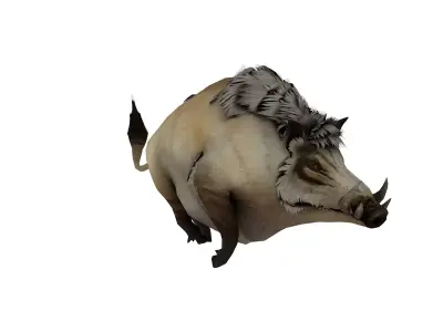 Wild Boar Creature 3D Model  Rigged Game Ready Fantasy Animal Low-poly 3D model