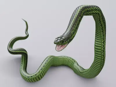 Rigged Green Snake Free 3D model