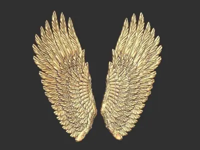 wing douple sided carved 3D print model