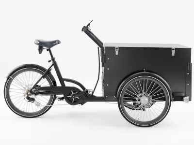 3D Model of Cargobike DeLight Box Low-poly 3D model
