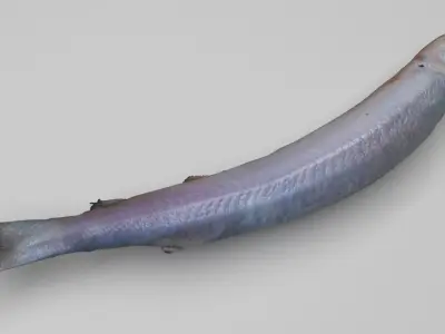 Carrion Fish 3D model